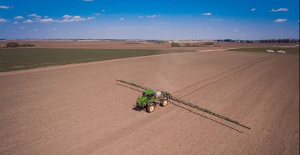 Збирання кукурудзи на корм у підприємстві «Україна»