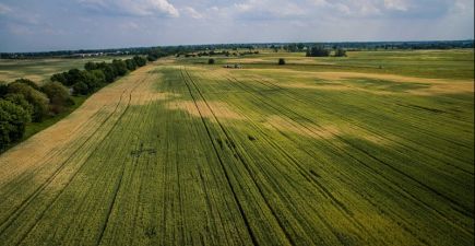 АгроЕкспедиція Пшениця 2017. День 1. Київська Область