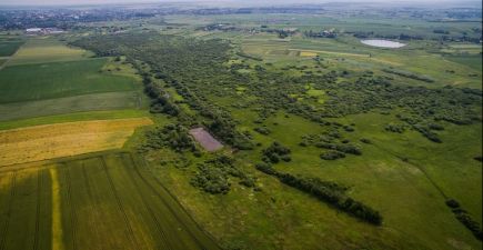 АгроЕкспедиція Пшениця 2017. День 4. Волинь та Рівненщина
