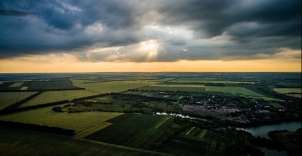 Озима пшениця в господарствах Орільське та Богодухів-1