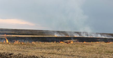В Україні масово випалюють поля