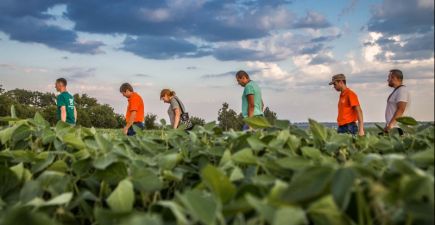 Соя в ФГ «ТВК» і в господарстві «Олімп» в Черкаській області