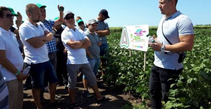 День поля «Agro picnic 2017» ADAMA 9 серпня 2017 р.