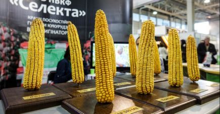VI Міжнародний форум АГРОПОРТ Схід Харків 2017. День перший