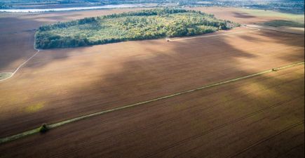 АгроПолігон Океан Інвест: результати вирощування сої в Лампка Агро