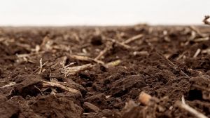 Проблема деградації ґрунтів. Сучасний стан, ризики та способи подолання