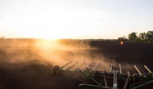 Вітрова ерозія ґрунту та вирощування цукрових буряків: як вирішити проблему