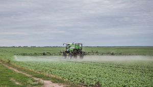 Ринок ЗЗР у сезоні 2025: вплив погодних та воєнних факторів