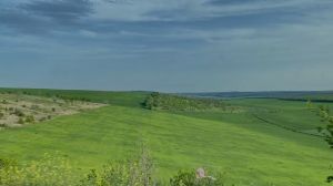 Землеробство на схилах: як впливають експозиція і крутизна схилу на агротехнічні рішення