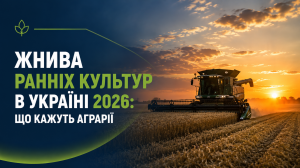 Жнива-2026: які врожаї ранніх культур отримали українські аграрії