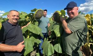 Віталій Чубенко, Олег Ільчук та Михайло Ковальський