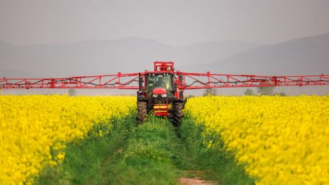 Внесення ЗЗР на ріпаку озимому