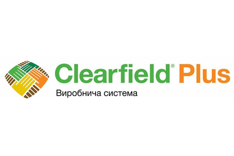 BASF представила нову систему захисту соняшника Clearfield Plus