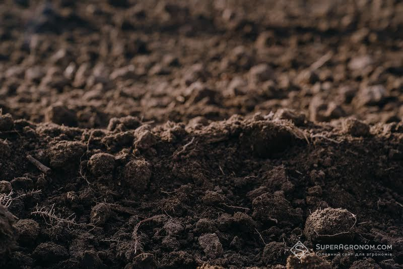 Ризиковане землеробство та біостимулятори: як підвищувати врожаї та рентабельність культур в умовах Херсонщини