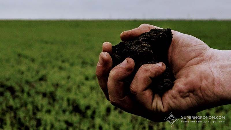 Відновлення родючості українських ґрунтів справа спільна: держави, науки, бізнесу — нотатки з конференції BTU