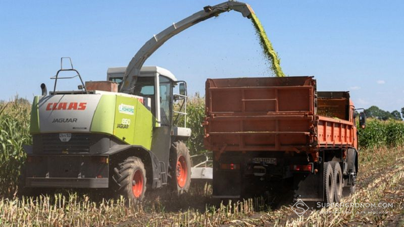 Збирання кукурудзи на силос Збирання кукурудзи на силос