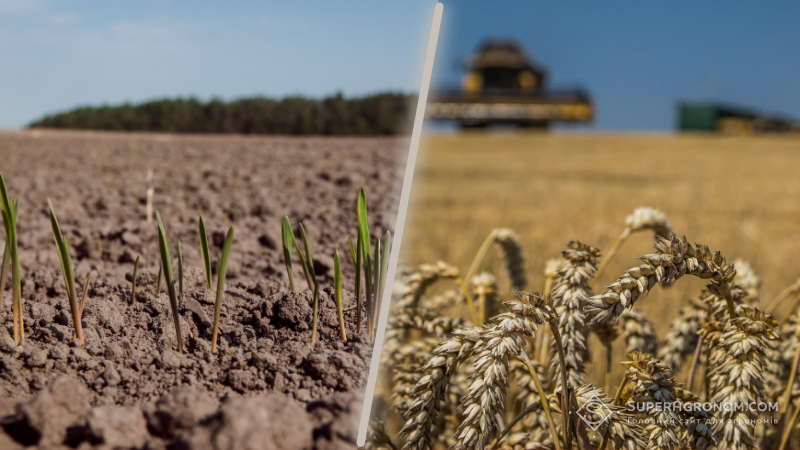 Як війна вплинула на агросектор України: урожайність, втрати та умови 2022–2025