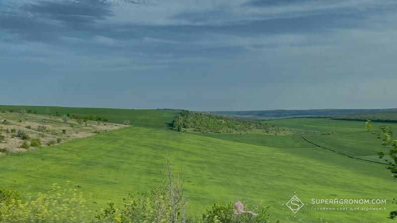 Землеробство на схилах: як впливають експозиція і крутизна схилу на агротехнічні рішення Землеробство на схилах: як впливають експозиція і крутизна схилу на агротехнічні рішення