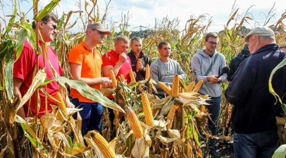 Посіви кукурудзи на Вінниччині