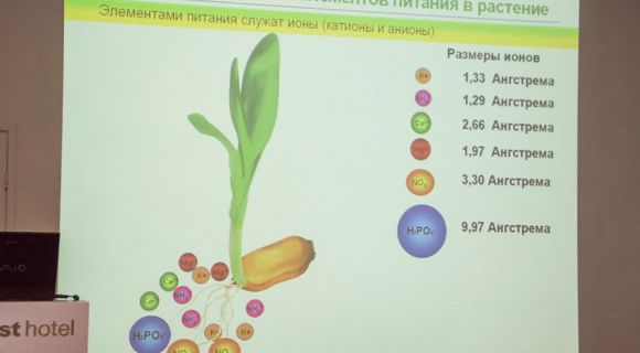 Швидкість надходження елементів живлення в рослину