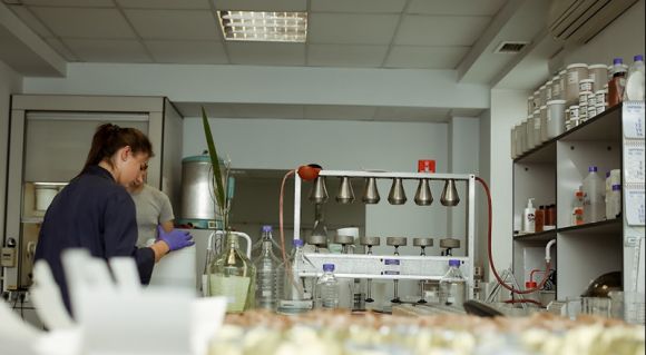 Співробітниця лабораторії «Агротест» робить аналіз грунту