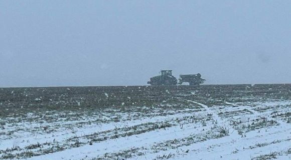 Внесення сульфату амонію по мерзлоталому