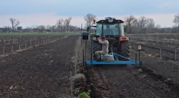 Створення системи зрошення фундукового саду. Фото з особистого архіву Павла Рогози / Суспільне.Дніпро