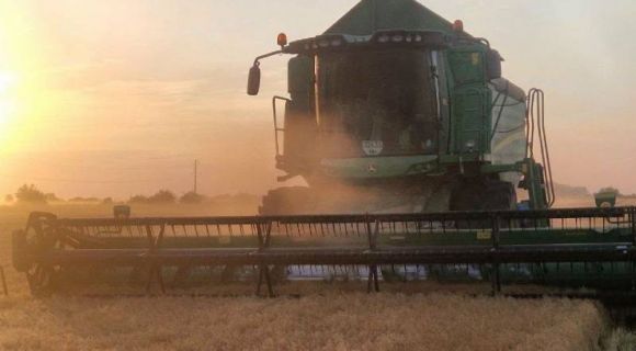 Збирання сочевиці в Tekom Agro Group