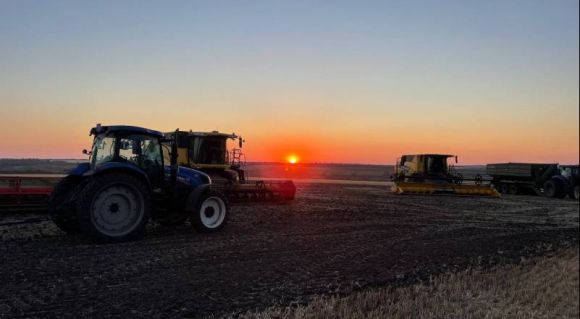 Збирання урожаю пшениці 2026 в ГК «УкрБіоЛенд»