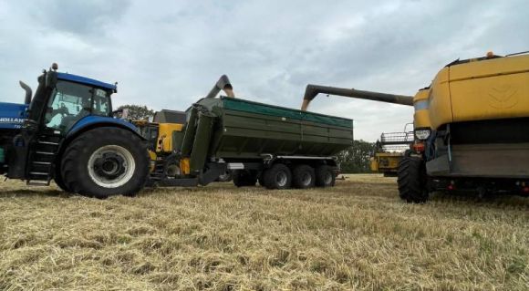 Збирання урожаю пшениці 2026 в ГК «УкрБіоЛенд»