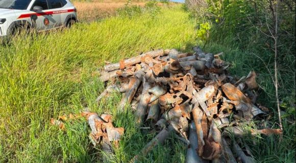 Розмінування полів LANDEX AGRO (Фото: ТОВ «Українські сервіси розмінування»)