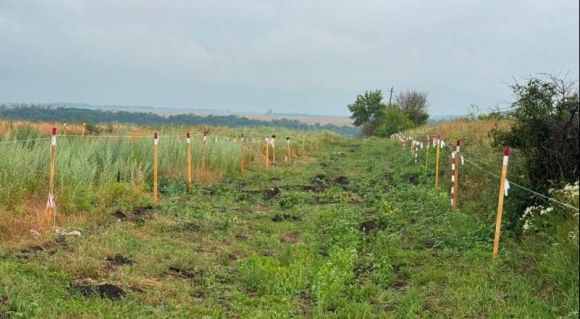 Розмінування полів LANDEX AGRO (Фото: ТОВ «Українські сервіси розмінування»)
