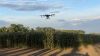 DEFENDA запропонувала аграріям нову послугу — обробіток полів за допомогою дронів