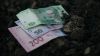 Українським аграріям відтермінували виплати по діючим кредитам