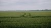 У  NASA визначили, скільки сільгоспугідь окуповано в Україні