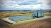 Насіннєвий завод Епіцентр Агро у Шепетівці нарощуватиме потужності за рахунок доробки товарного зерна