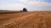 З меншою майже на пів тонни врожайністю, ніж торік, збирають зернові та зернобобові на Сумщині