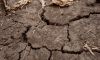 Посухи в Європі посилюватимуться навіть зі збільшенням кількості опадів — прогноз