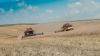 На Івано-Франківщині завершено жнива ранніх культур: урожайність ріпаку 3,02 т/га, пшениці 5,52 т/га