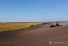 Посівні площі в Україні можуть скоротитися на 20% вже наступного року