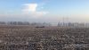 Внесення безводного аміаку