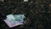 До 1000 грн/га на вітчизняні добрива: з 1 жовтня стартує прийом заявок на отримання бюджетної субсидії