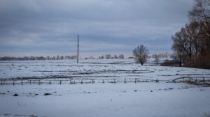 Дощ, мороз і льодова кірка: в найближчі дні на Полтавщині очікуються несприятливі для озимих умови