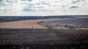 Українські ґрунти вдвічі бідніші від європейських