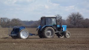 На Київщині стан озимої пшениці незадовільний