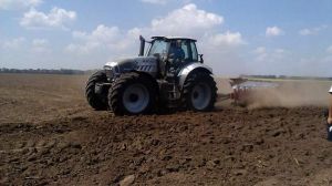 Площа недосіву озимих зернових в Україні в цьому році складе 3-5%