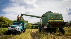 В Маневицькому районі на Волині урожай зерна виріс на 43%
