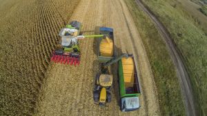 Українські аграрії намолотили 58,4 млн т зернових