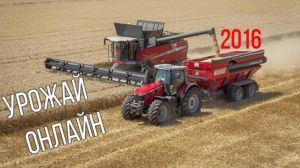 Названі області-лідери України зі збирання зернових культур — Урожай Онлайн