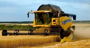 У Рівненській області знову очікують рекордний урожай